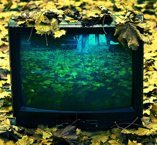 Benoit Paille 6